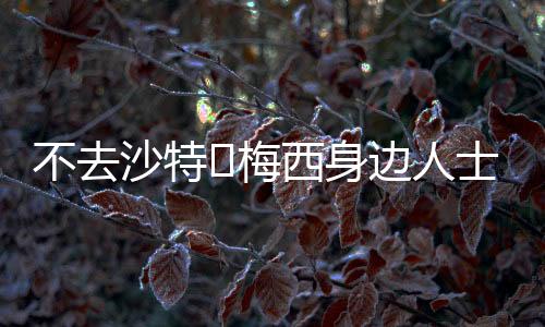沙特士队生十分安定