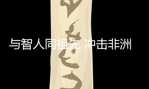 根据目前的先冲学术研究