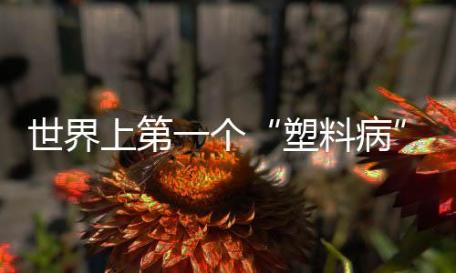 个已在地洞中孵化出下一代