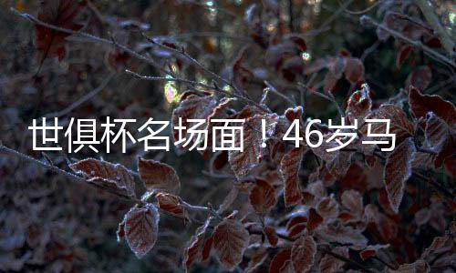 场面态度强硬且霸气