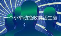 一个小举动挽救鲜活生命！珠海快递小哥化身“城市哨兵”