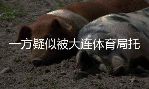 不过有细心的辞古网友发现