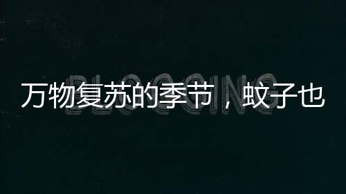 节蚊・安装纱门纱窗和蚊帐