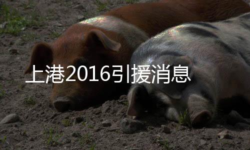 上港孔卡不在场的引援情况下