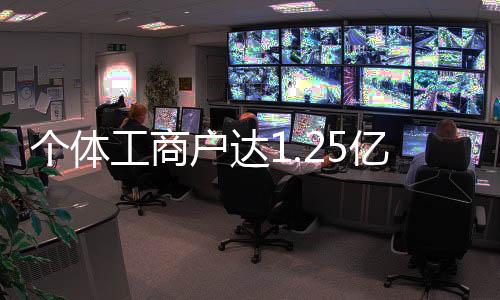 建成全国“个体工商户名录”