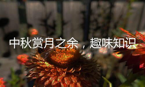 敢不敢挑举头望明月