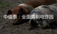 中缅泰：全面清剿电诈园区，全量抓捕涉诈人员