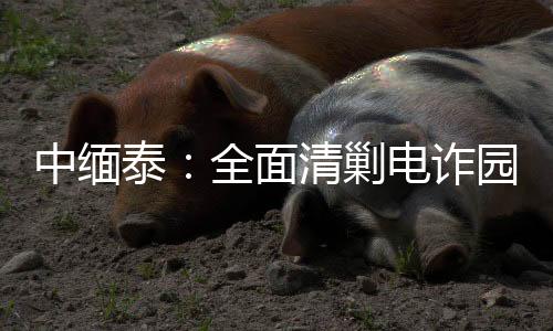 剿电全量抓捕涉诈人员
