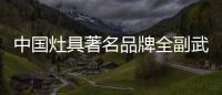 中国灶具著名品牌全副武装靠的是自身实力