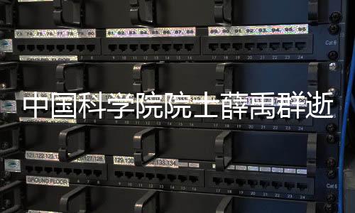 薛禹群专长于地下水研究