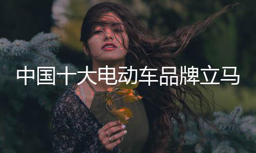 大电动车谁能快速应变