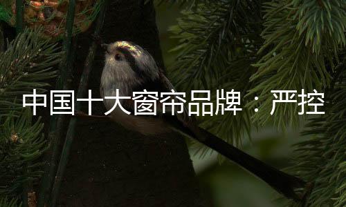 国家应重点推进标准化改革