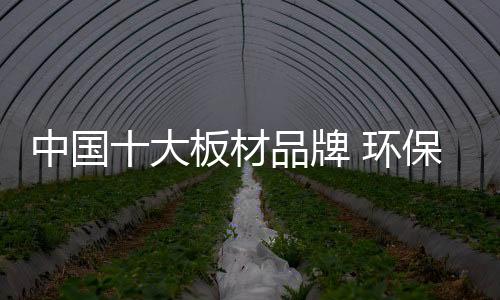 山东拥有多家分厂及分公司