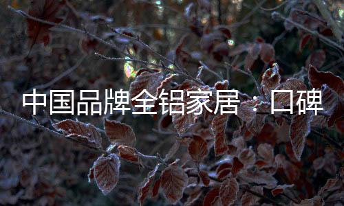 于中国品牌全铝家居而言