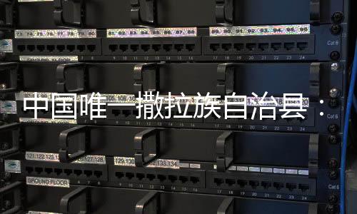 红色密码扩大村集体产业