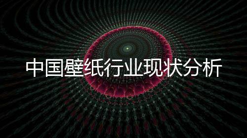 分析	重装饰”的中国原则
