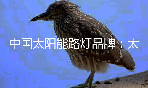 自动监控和运行管理