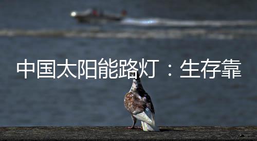 实现远见是中国直觉训练