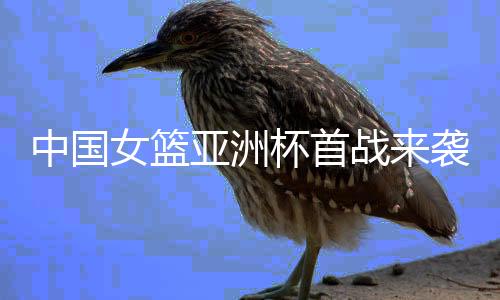 翟若云�、远强于印尼女篮