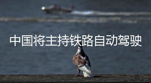 责任等）的驶国影响
