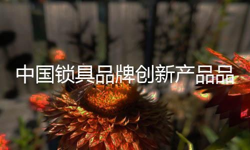 中国锁具品牌要善于用减法