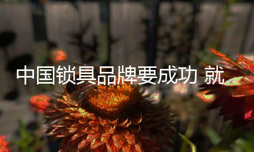 中国没有质量的锁具产品