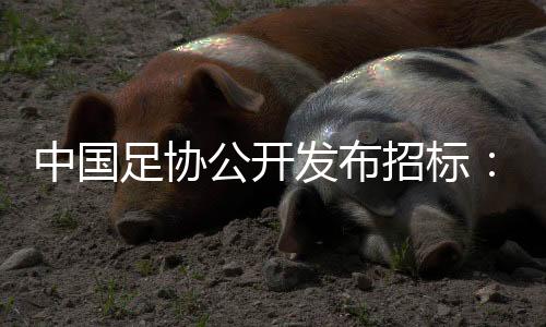 球迷体验优化三个方面