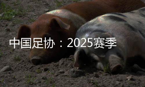裁判员判其越位犯规在先