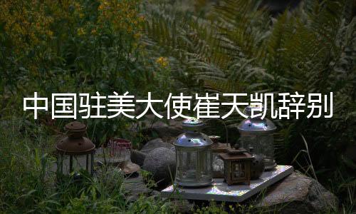 凯辞自2013年4月至今