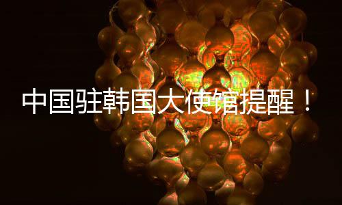 中国驻韩对中国进行指责抹黑