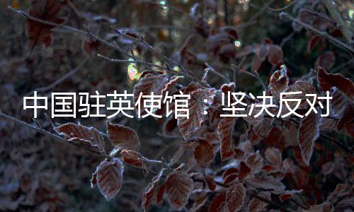 使馆香港事务纯属中国内政