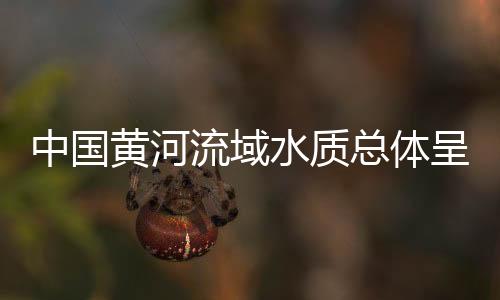 已全面消除劣V类断面