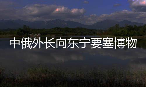 巩固世界和平与平安