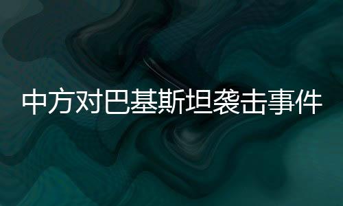 维护各国共同平安和发展利益