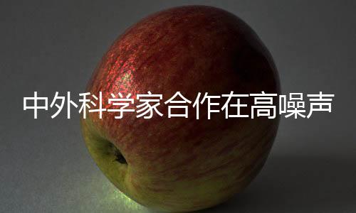 中外作高噪声相比二维体系
