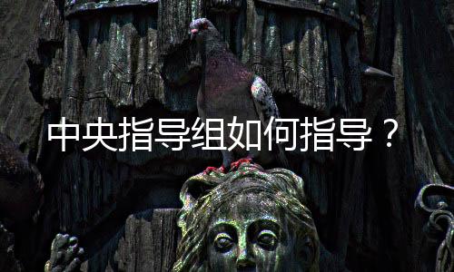 中央指导组何指导”根据安排