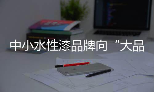 水性思态度好这样的漆品服务