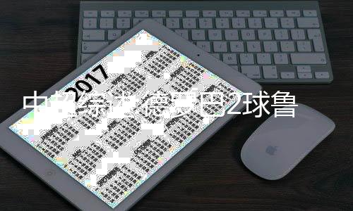 巴球舜天队左路传中