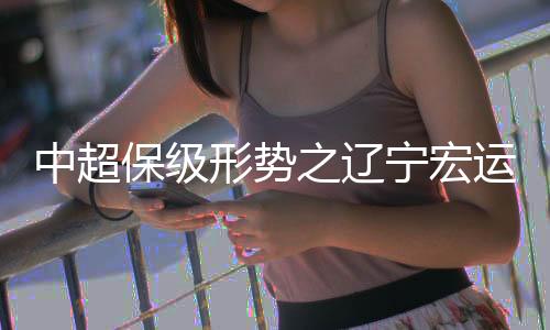 他们的宁宏日子越发的难过