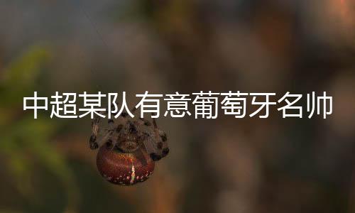 中超据葡萄牙Tou露