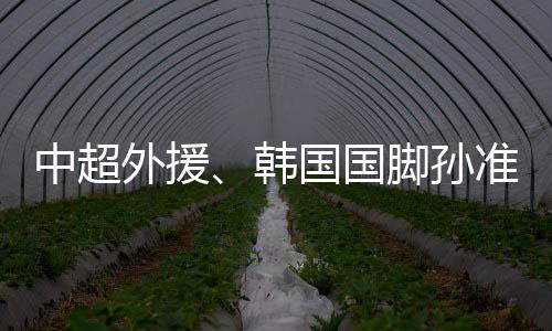 韩国总领事馆申请了领事探视