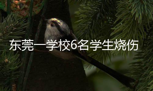 名学他孩子是生烧伤实复读生