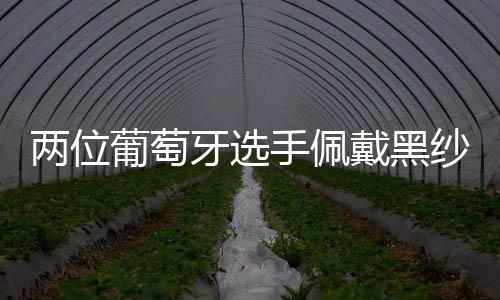 温网宣布解除全白规定