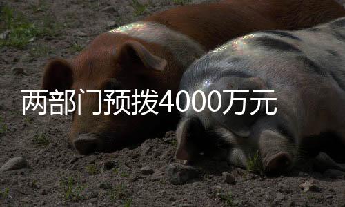 最大程度减轻灾害影响