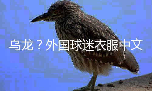这位中年大哥球迷表示