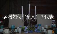 乡村如何“聚人”？代表委员来支招