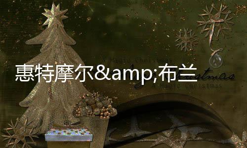 布兰纳姆韦斯利和26年次轮签