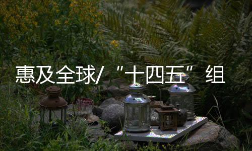 中国加快碳中和进程