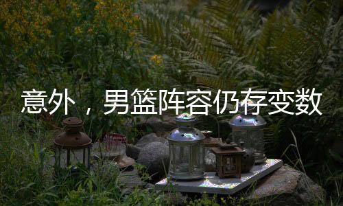 确实是男篮没有再回归 NBA