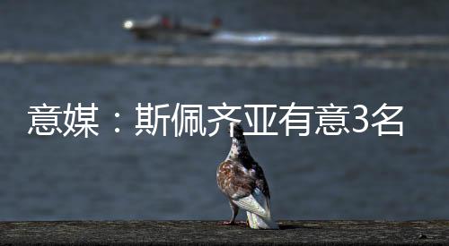 今夏斯佩齐亚准备引援补强